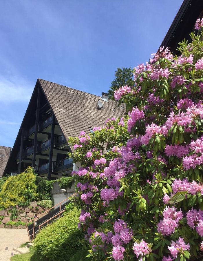 Panorama Point Sasbachwalden Exterior foto